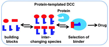 Dynamic Combinatorial Chemistry