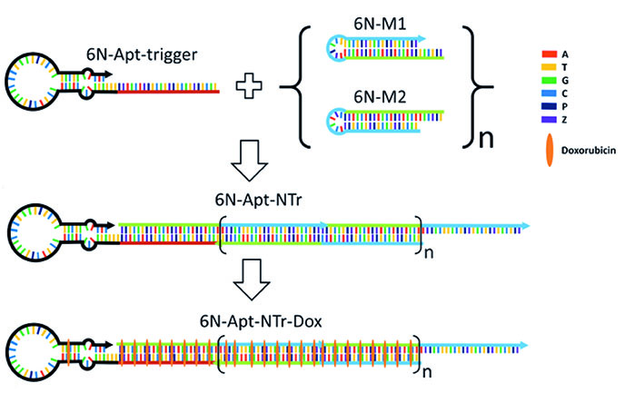 Drug Nanostructure