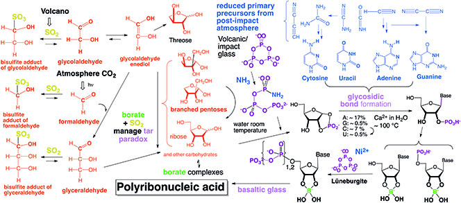 Formation of prebiotic RNA